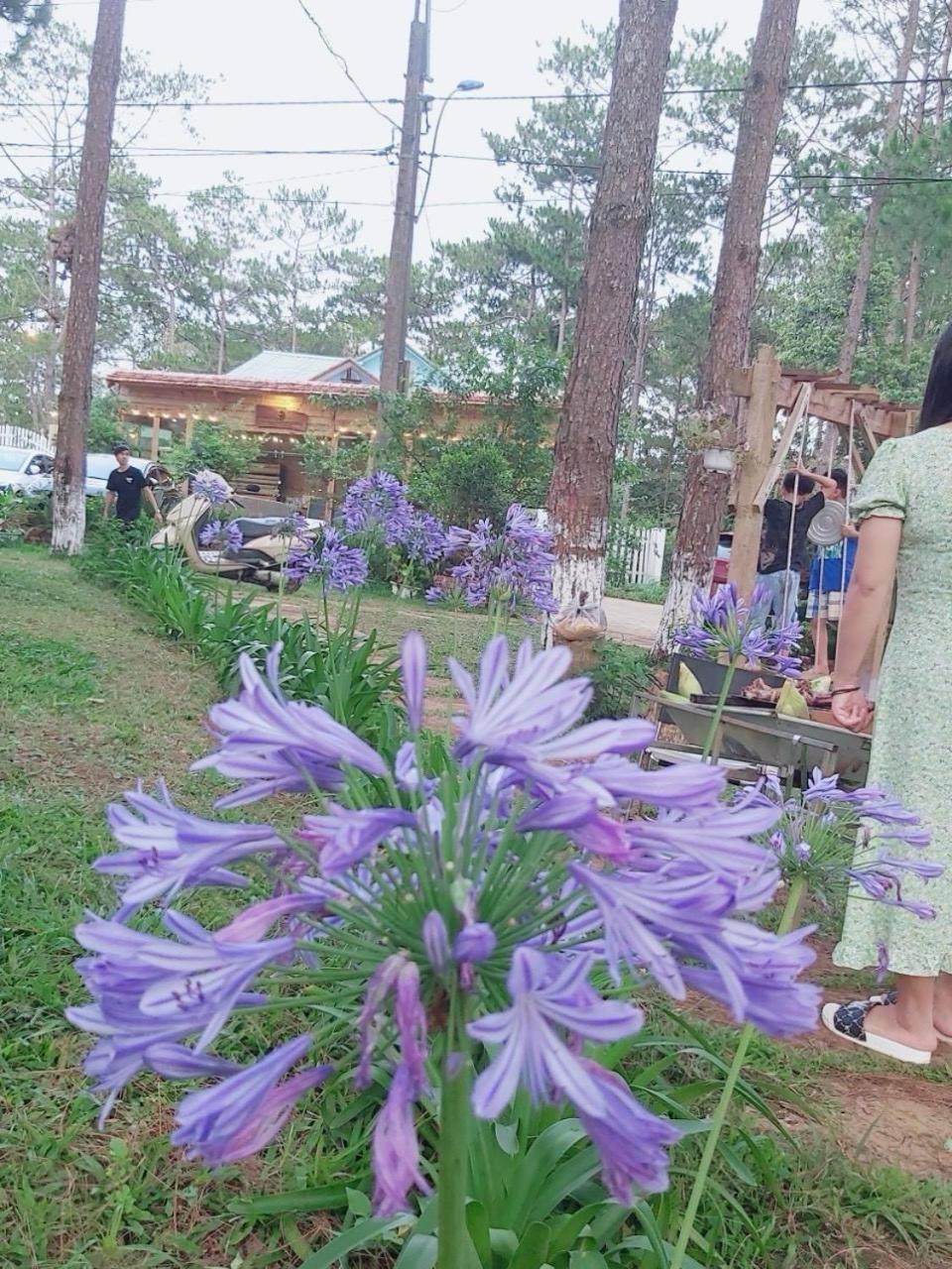 S'Nghe Homestay Mang Den Kon Von Kla Luaran gambar