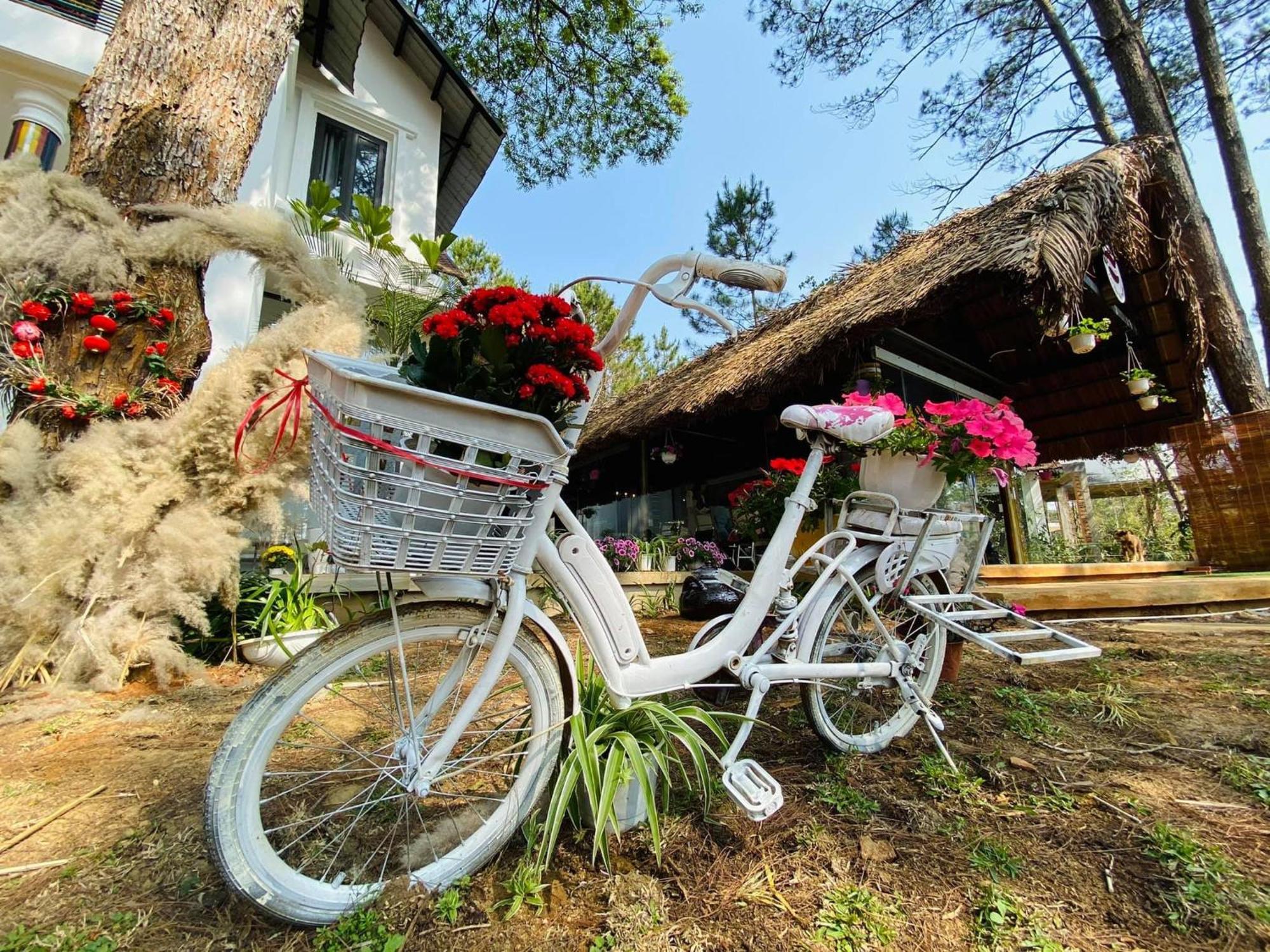 S'Nghe Homestay Mang Den Kon Von Kla Luaran gambar